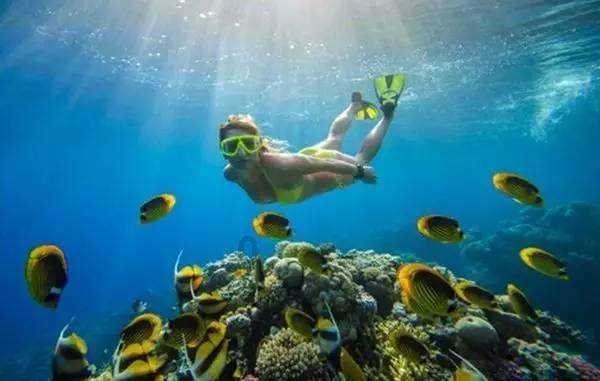 生完孩子就被催着喝红糖水,产后喝红糖水是有用还是多余?-知识星球平台,专注知识分享与交流
