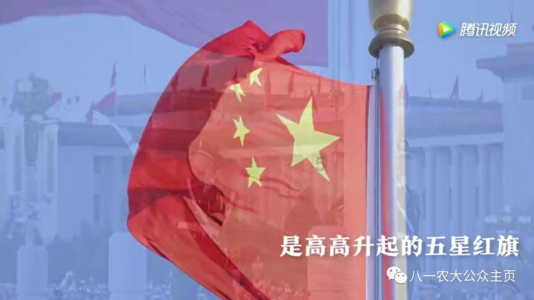 「出鼻血了」知识星球平台,系统性解读出鼻血了的全面指南